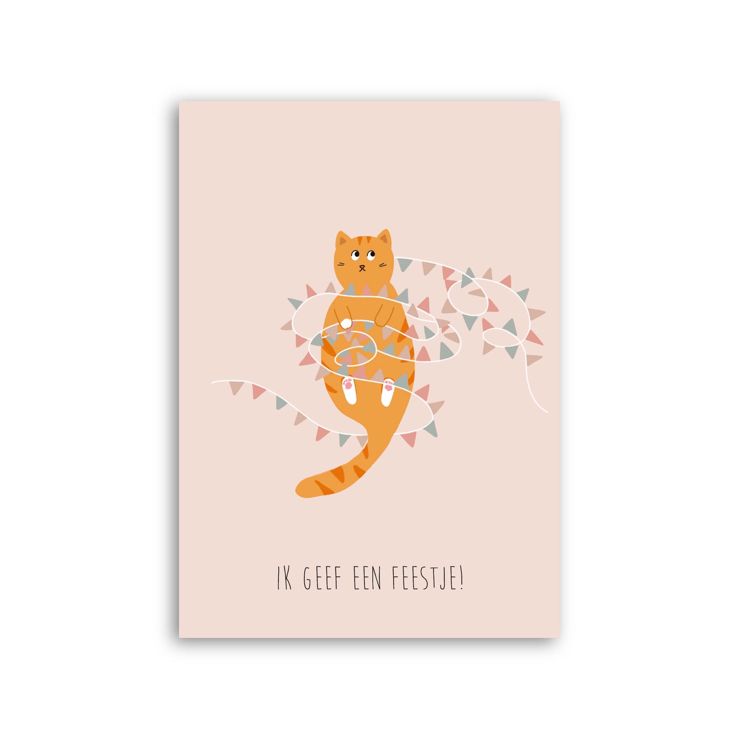 Uitnodiging kinderfeestje - Kat (6 stuks)