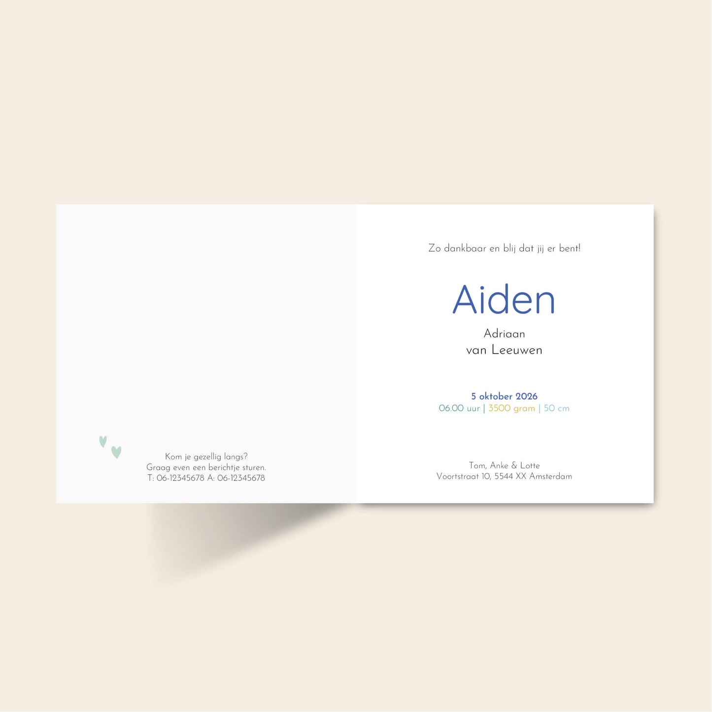 Kaartje Aiden